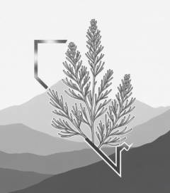 Sage Brush Wealth Partners